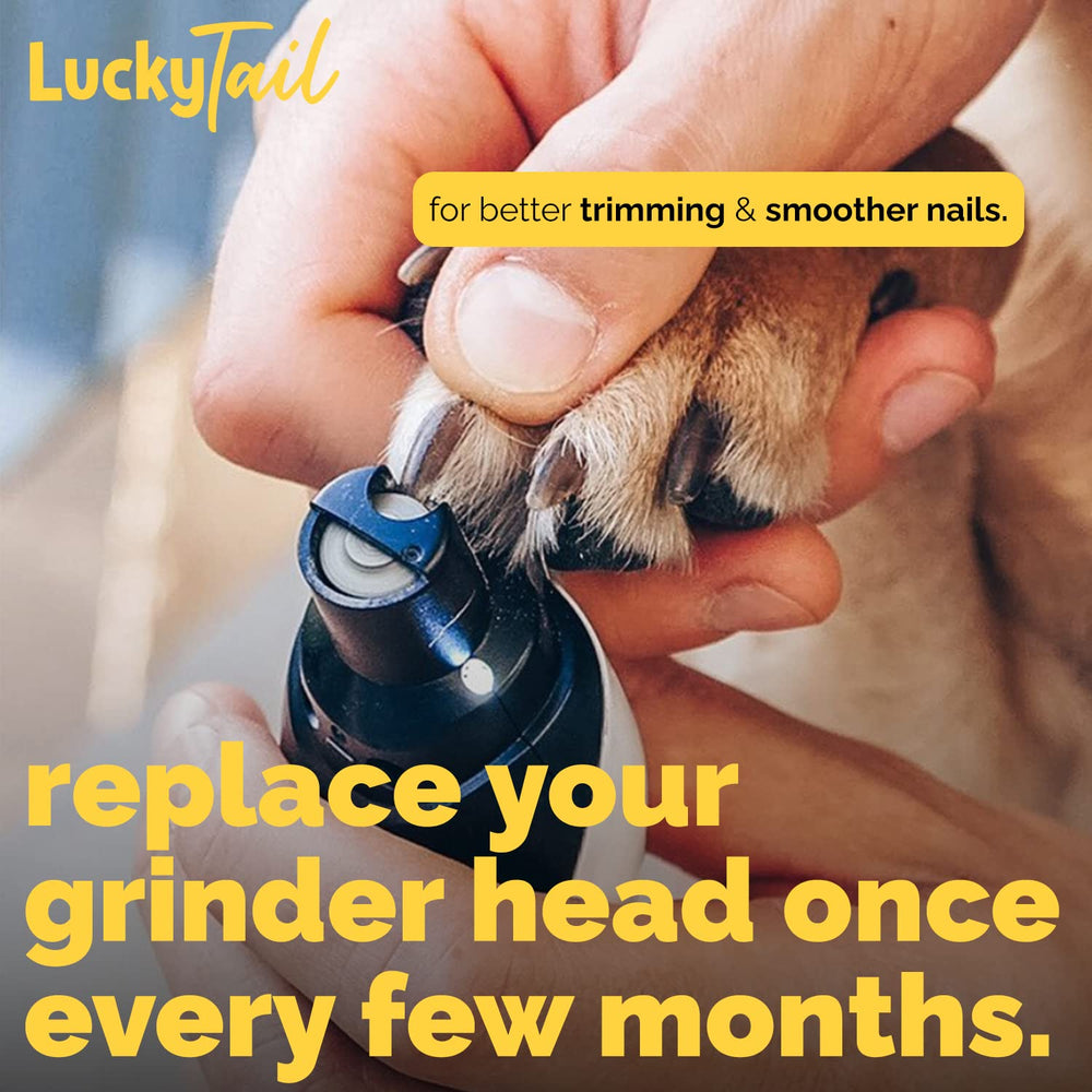 LuckyTail diamond tip drill bit ensures durable grinding performance during grooming sessions