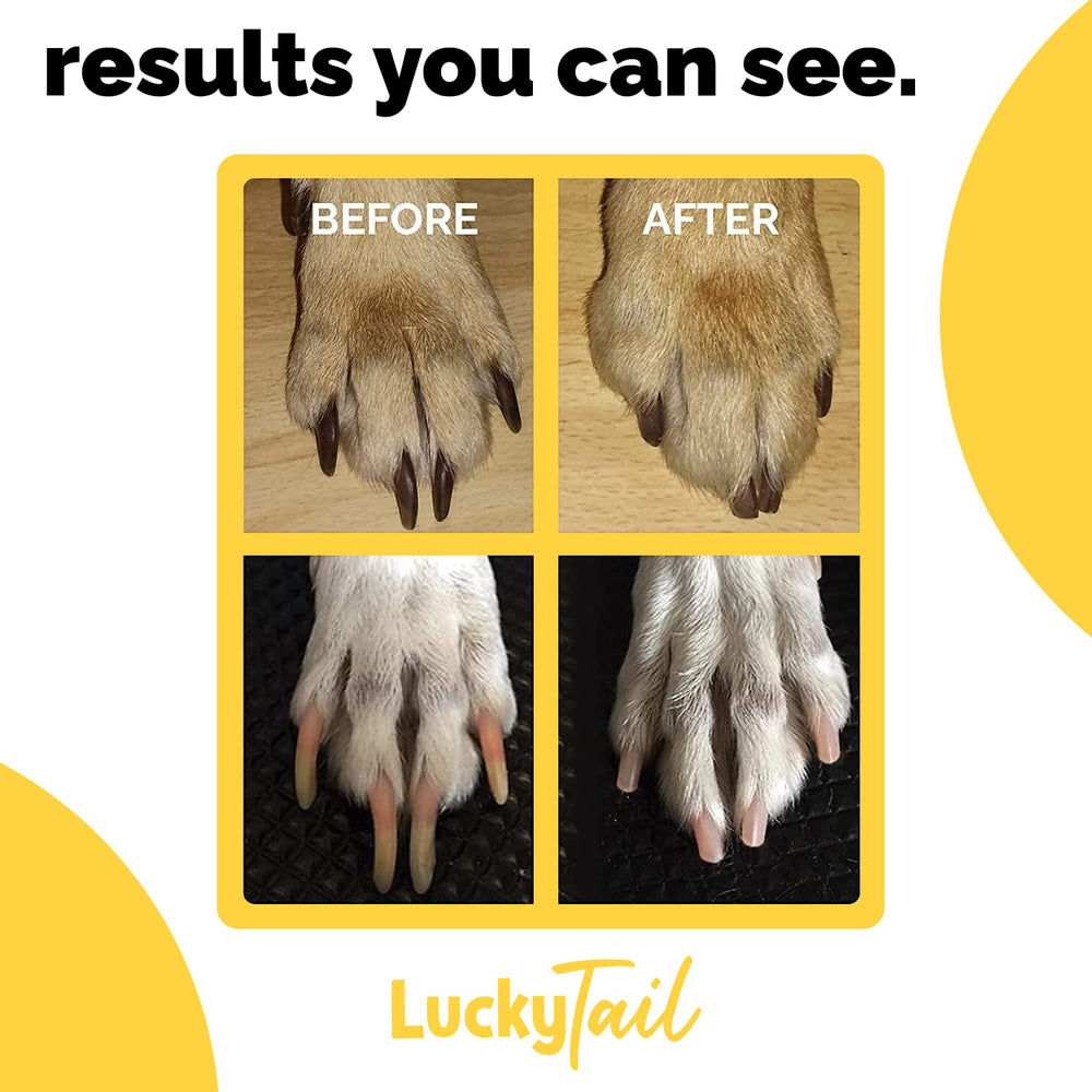 LuckyTail easy-swap heads allow quick replacements for efficient nail care