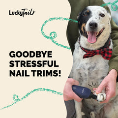 LUCKY TAIL pet nail grinder quiet operation closeup highlights low-vibration performance.