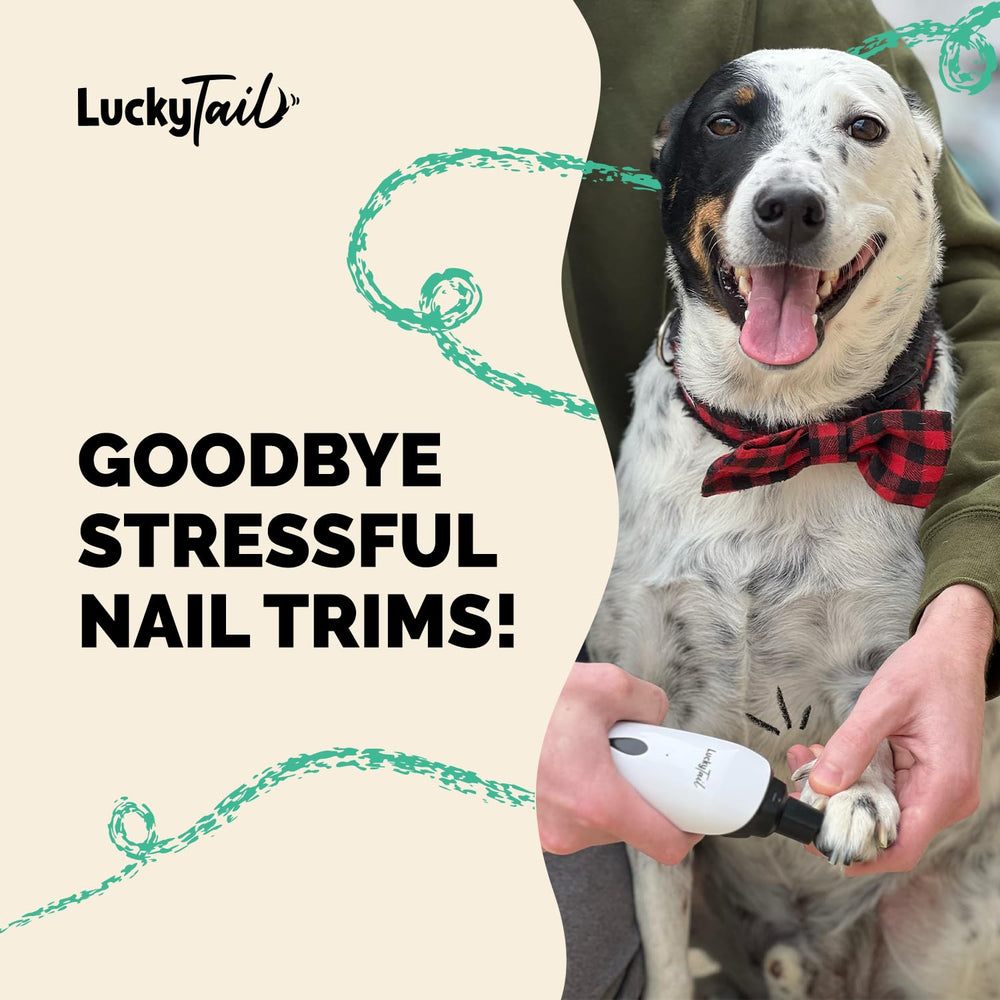 Lucky Tail small-to-large-pets compatibility covers dogs and cats of all sizes