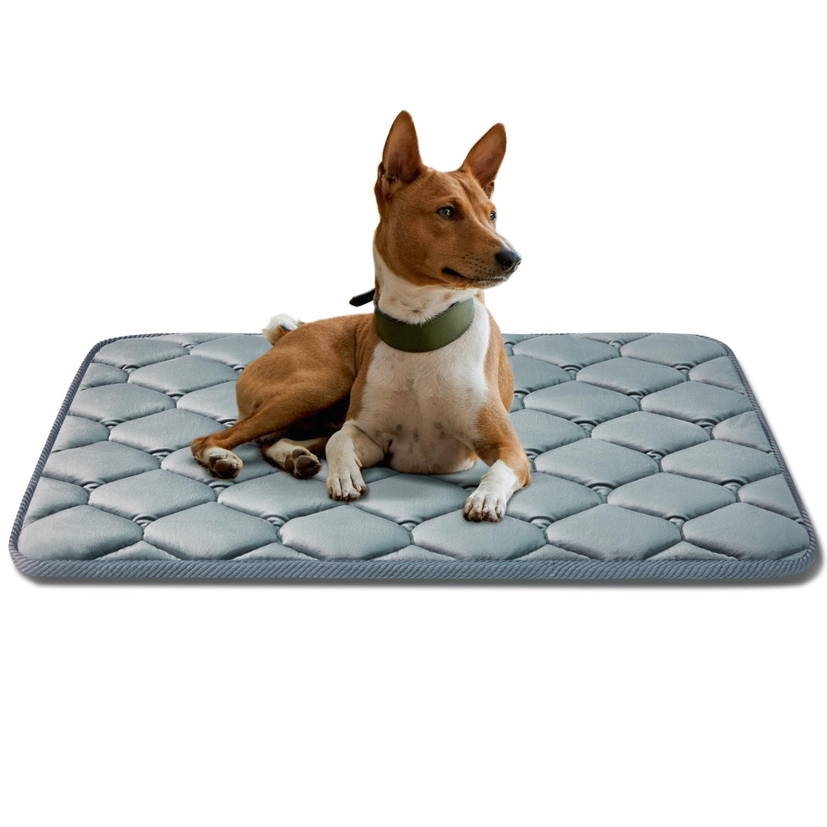 Luckyvo dog crate mat 35x22 grey provides a snug sleeping space in crates.
