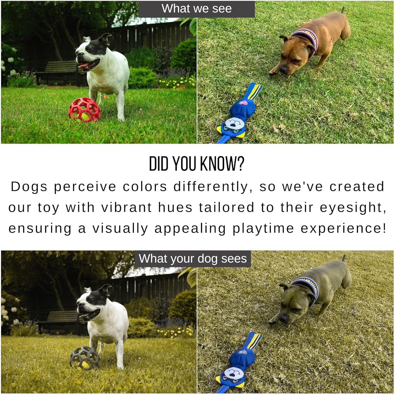 LUCOLOVE heavy-duty flirt pole with aluminum build for strong breeds