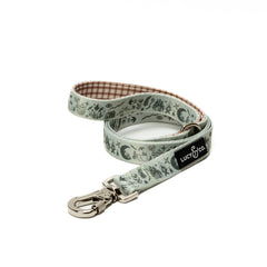 Lucy & Co 5ft designer dog leash with padded handle for comfortable daily walks