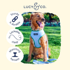 Lucy & Co. 5ft leash on a stroll demonstrating use with puppies and dogs alike