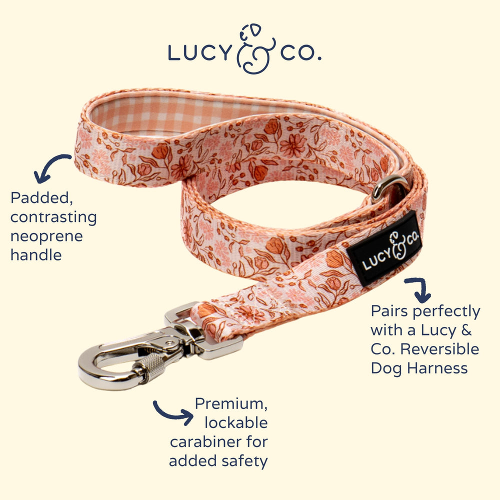 Lucy & Co anti-pull design leash in use for better control.