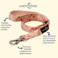 Lucy & Co anti-pull design leash in use for better control.