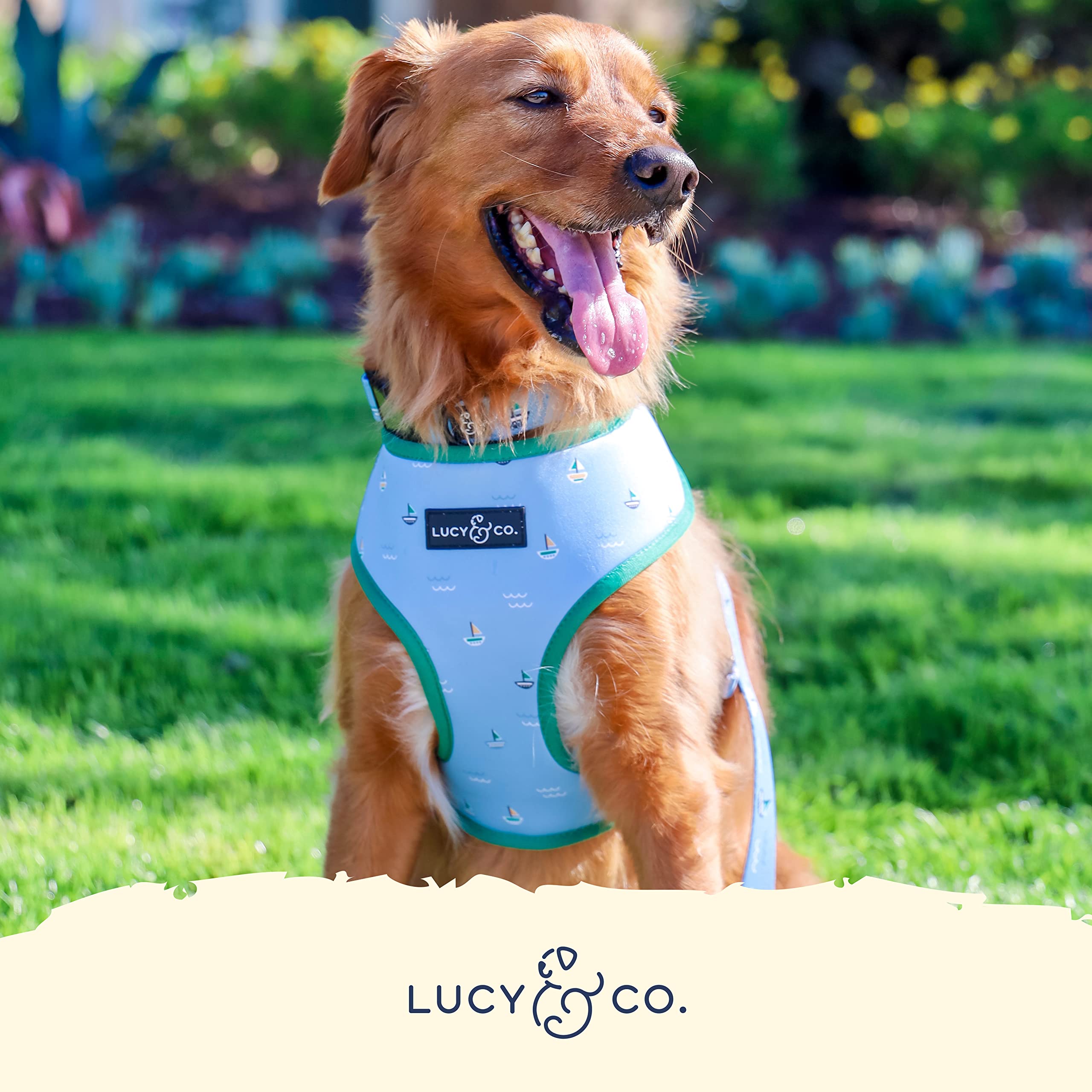 Lucy & Co blue-and-white stripes with sailboats motif, suitable for daily adventures.