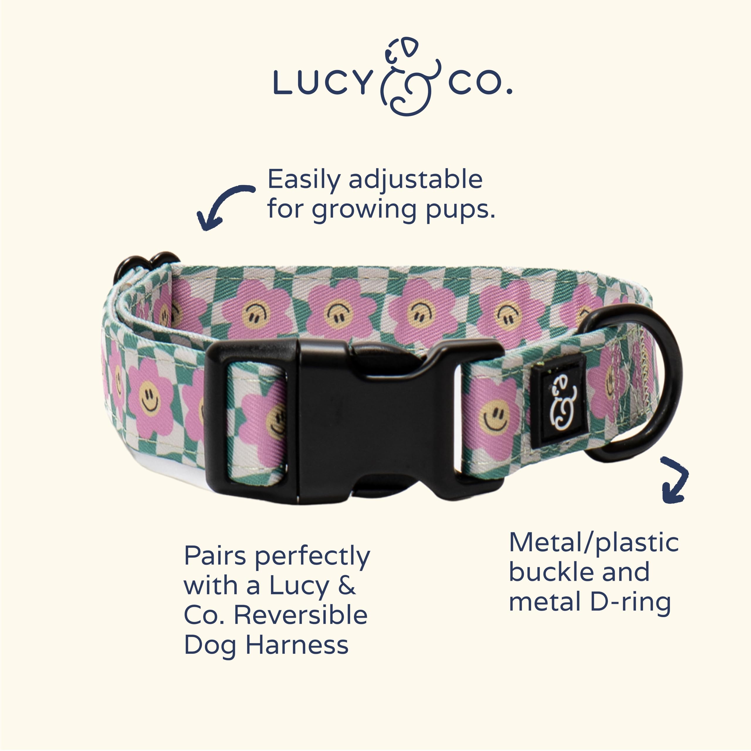 Lucy & Co dog collar worn during a walk showcasing style and comfort