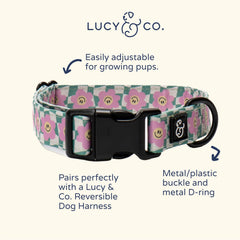 Lucy & Co dog collar worn during a walk showcasing style and comfort