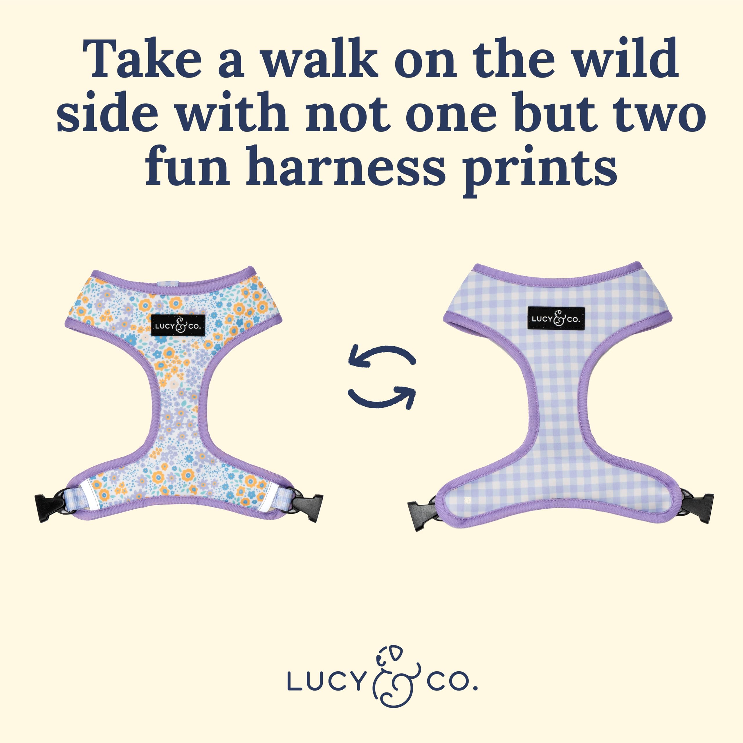 Lucy & Co adjustable chest strap harness on a dog during a walk