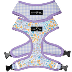 Lucy & Co reversible dog harness purple floral front view, stylish everyday walking