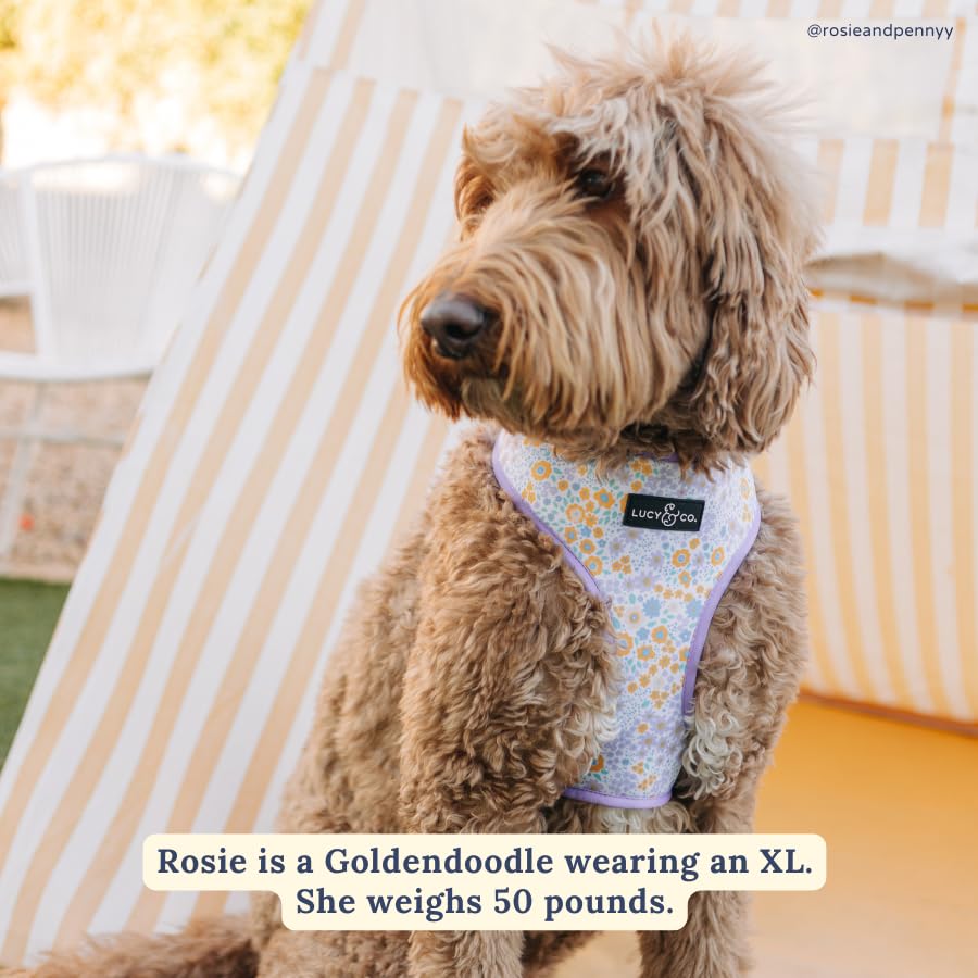 Lucy & Co breathable lightweight fabric keeps dogs cool on sunny strolls