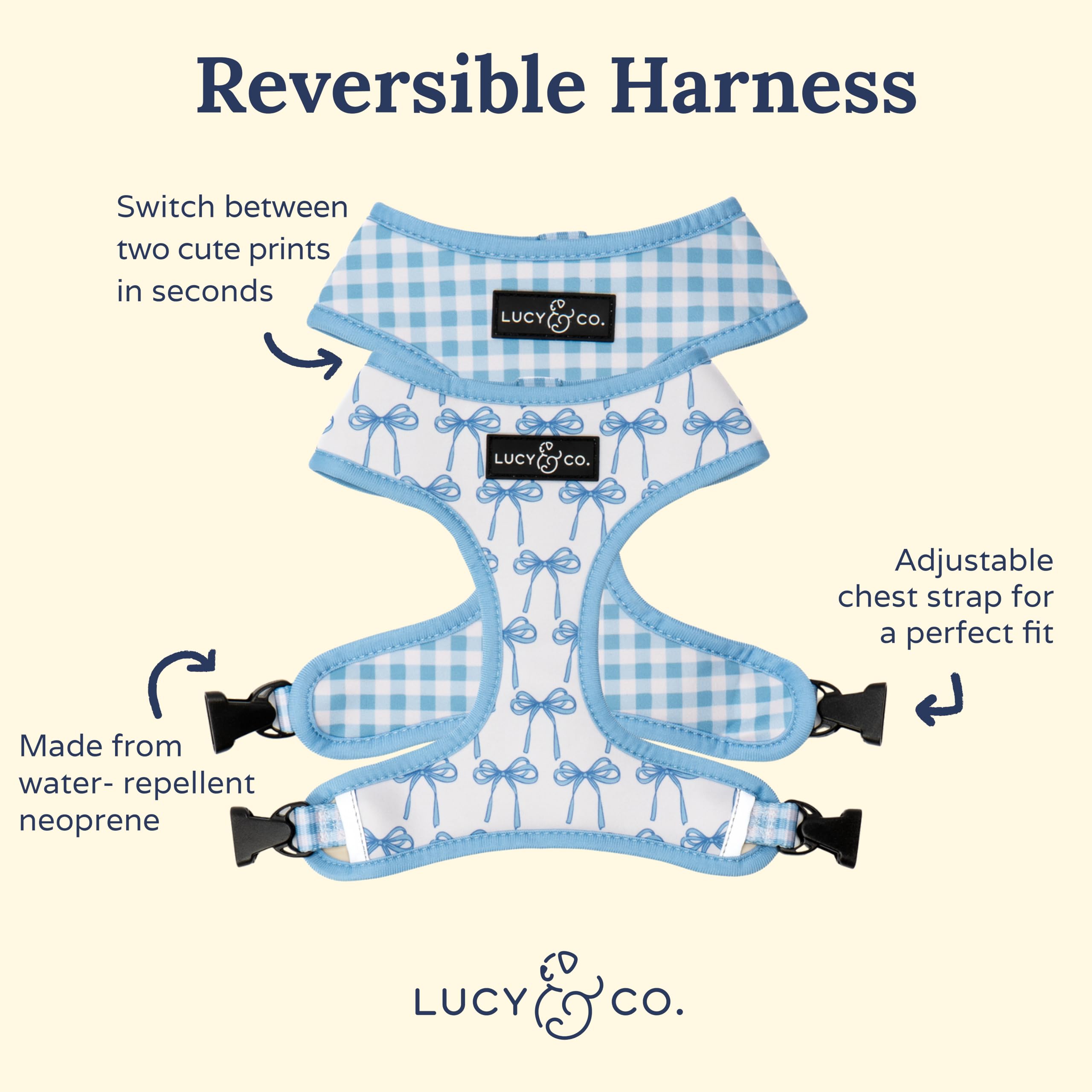 Lucy & Co. harness worn by dog during park stroll.