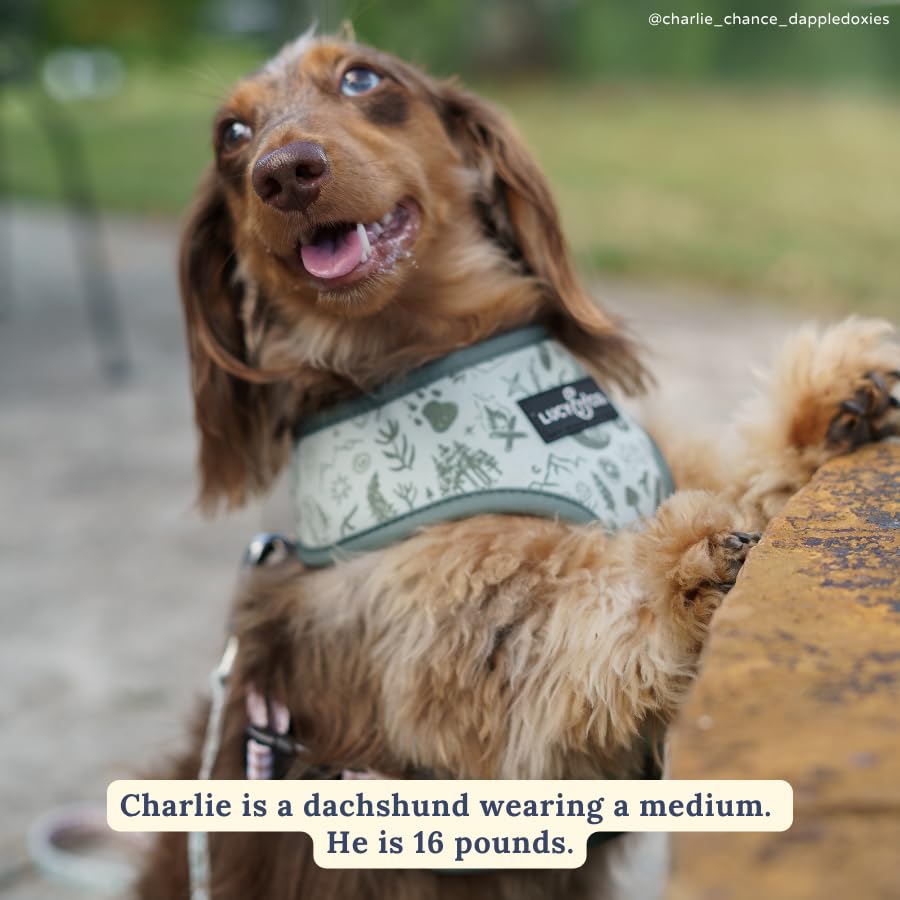 Lucy & Co padded vest close-up, cushioned straps for comfortable, adjustable fit.
