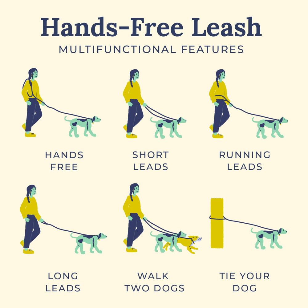 Lucy & Co Evergreen Hands-Free Leash configured for walking two dogs