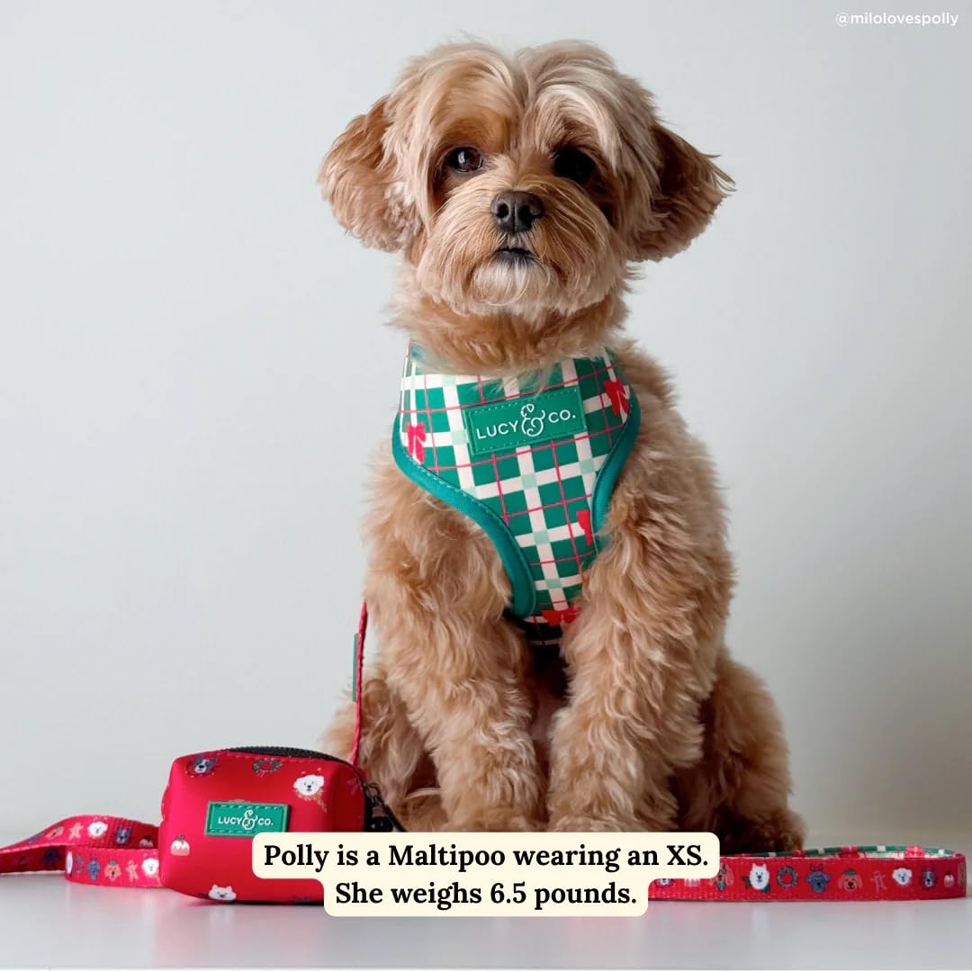 Lucy & Co. Happy Howlidays reversible harness side B with second festive look