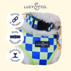 Lucy & Co Have a Nice Day dog collar features adjustable quick-release buckle for easy on/off.