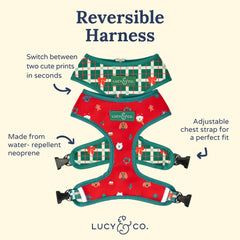 Lucy & Co. holiday walk set with leash and bandana for coordinated styling