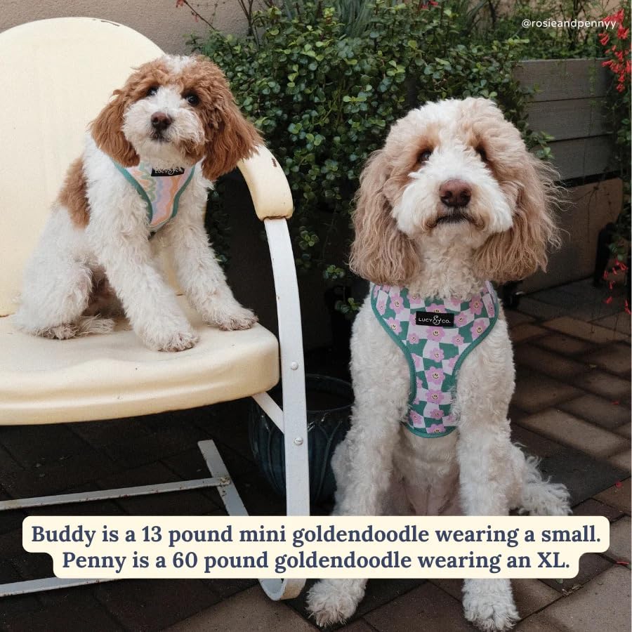 Lucy & Co Just Chill padded chest close-up for gentle control and comfort.