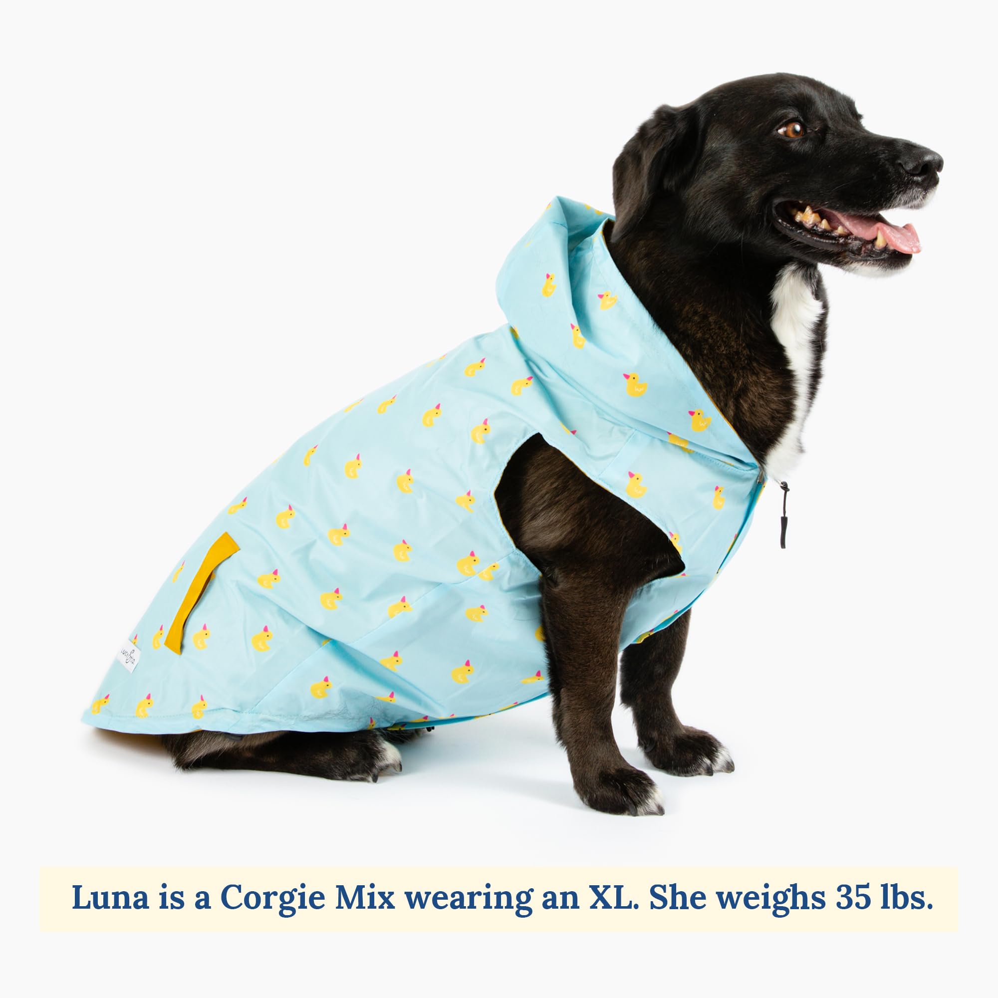 Lucy & Co. Lucky Ducky dog walking in rain demonstrates practical weather protection