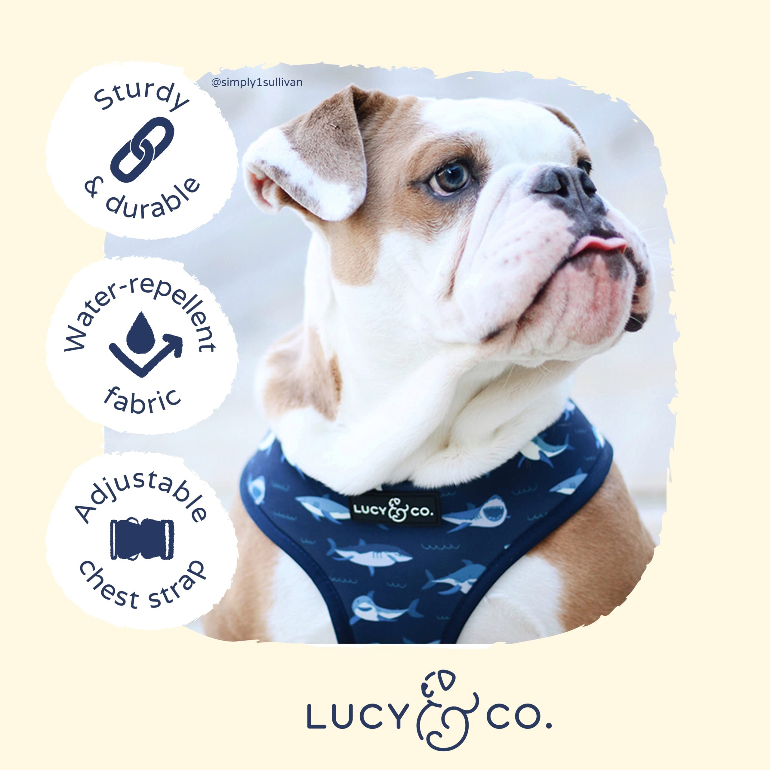 Lucy & Co padded harness strap closeup, soft materials for comfort.