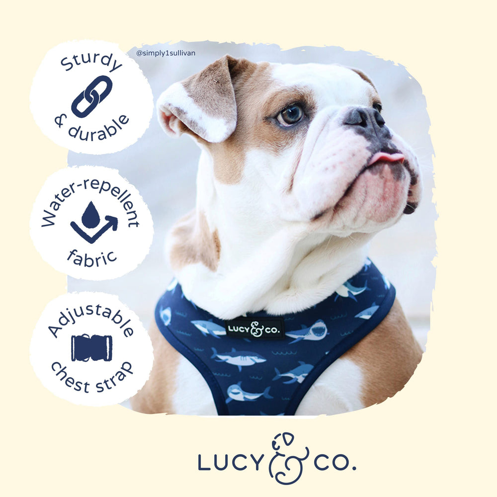 Lucy & Co padded harness strap closeup, soft materials for comfort.