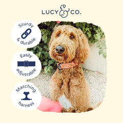 Lucy & Co Posy Pink dog collar on a dog showing adjustable comfort