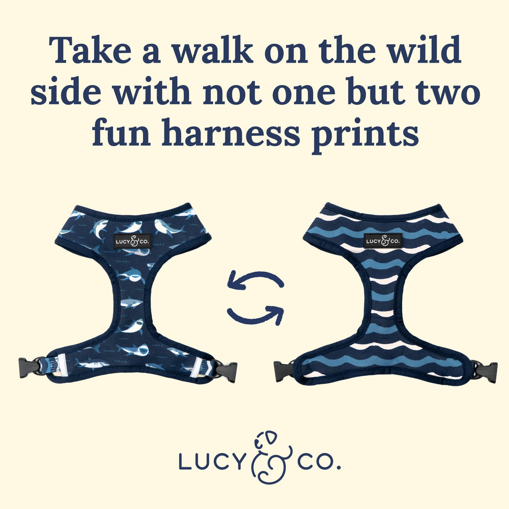Lucy & Co reversible harness Shark Attack back view, secure and stylish design.