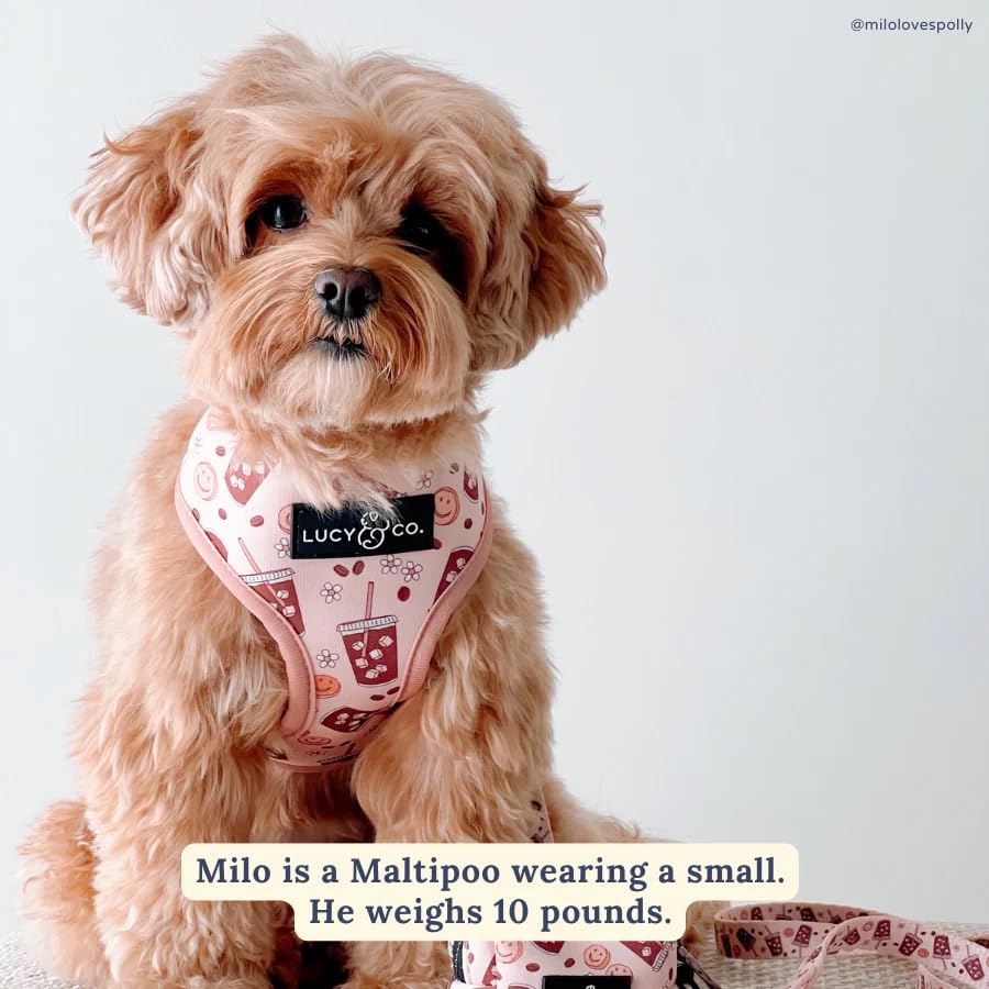 Lucy & Co. adjustable-fit harness shows easy over-the-head design for quick walks.