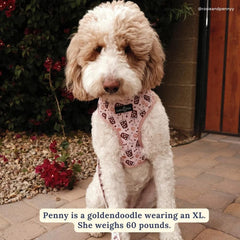 Lucy & Co. reversible harness neoprene material closeup shows durable water-resistant construction.