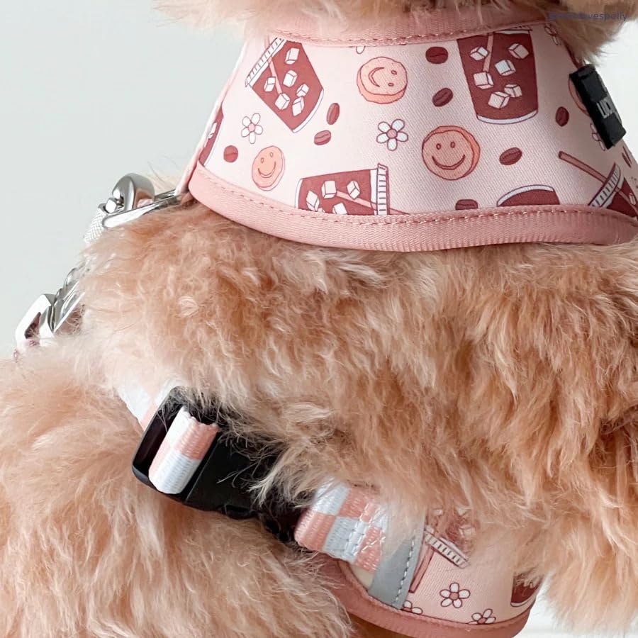 Lucy & Co. dog wearing harness on walk demonstrates full-body chest comfort.