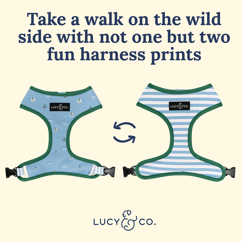 Lucy & Co padded vest harness close-up highlights soft padding and adjustable chest strap.