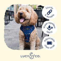 Lucy & Co Space Doodle harness adjustable straps detail shows easy on/off and size range