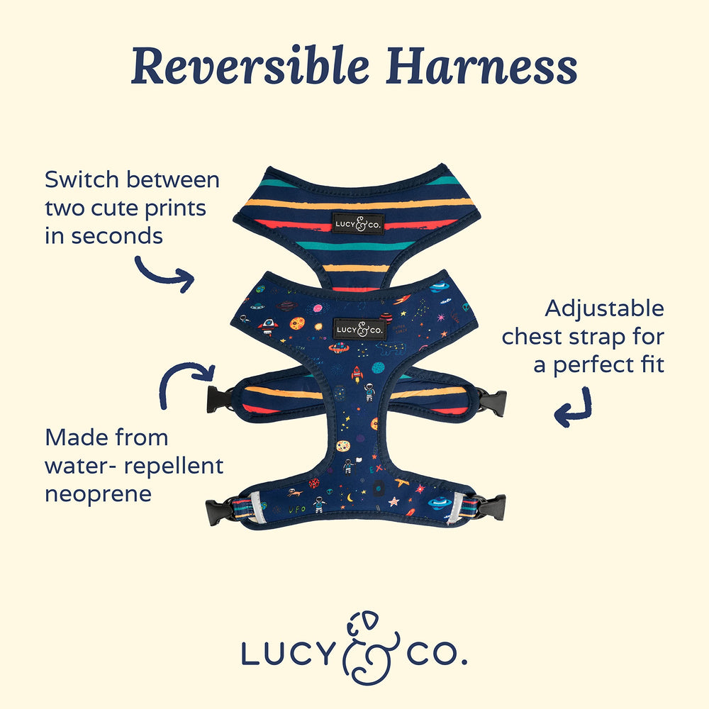 Lucy & Co Space Doodle harness back view highlighting secure strap placement for control