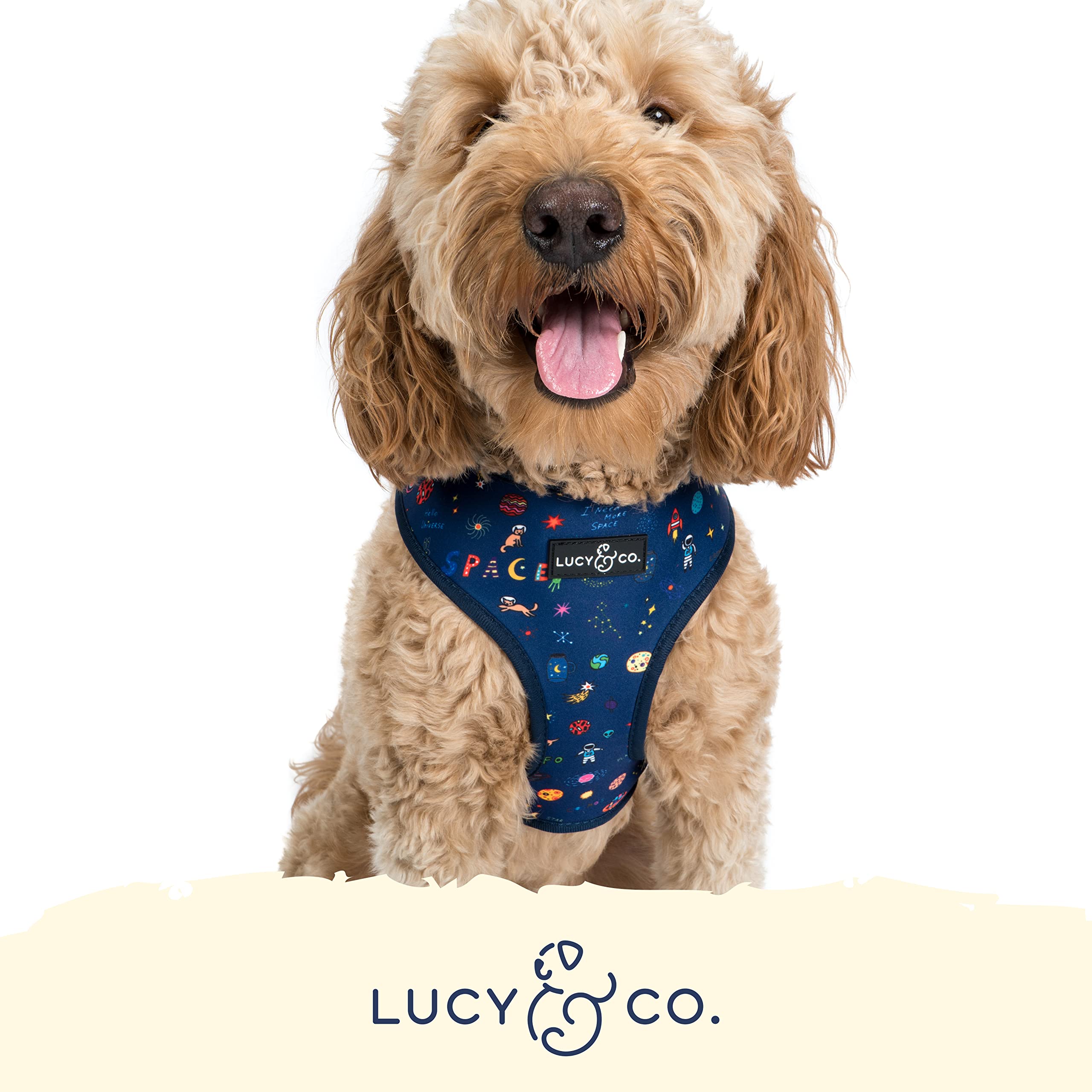 Lucy & Co Space Doodle harness on a small dog demonstrates comfy fit for pug breeds