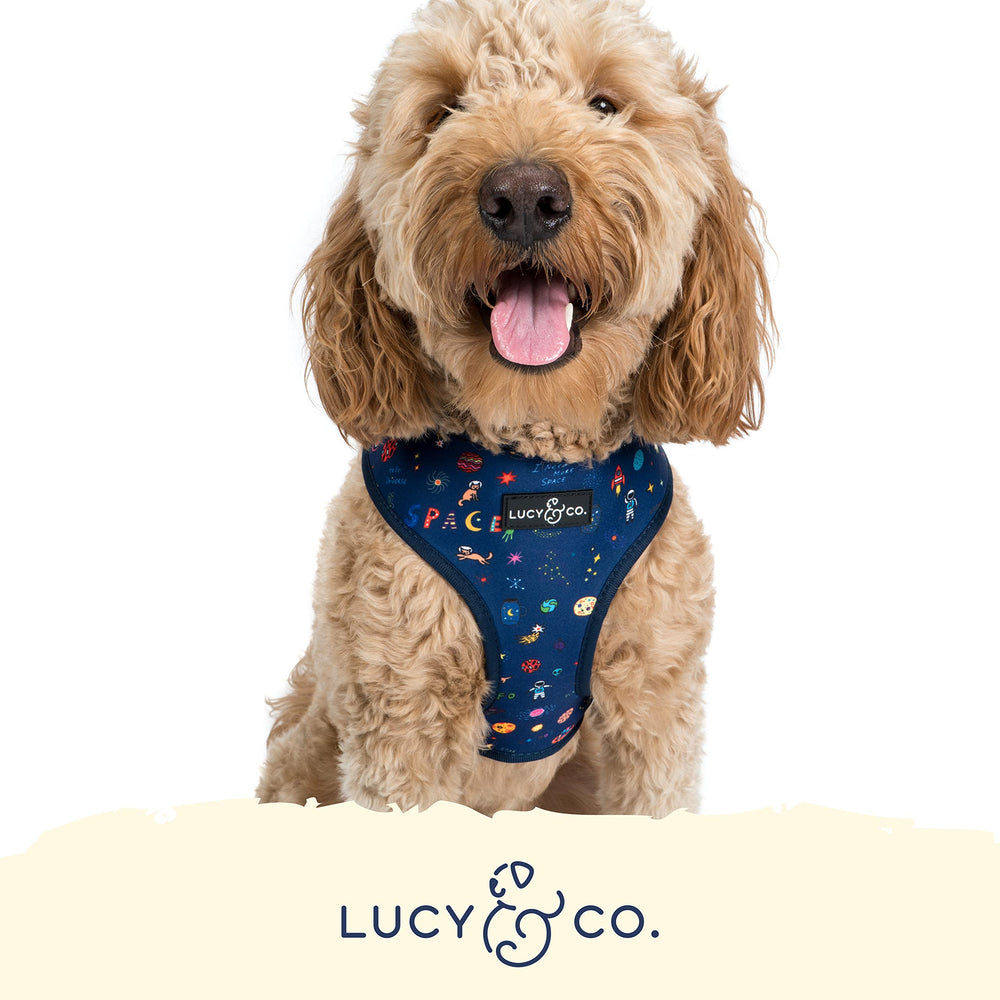 Lucy & Co Space Doodle harness on a small dog demonstrates comfy fit for pug breeds