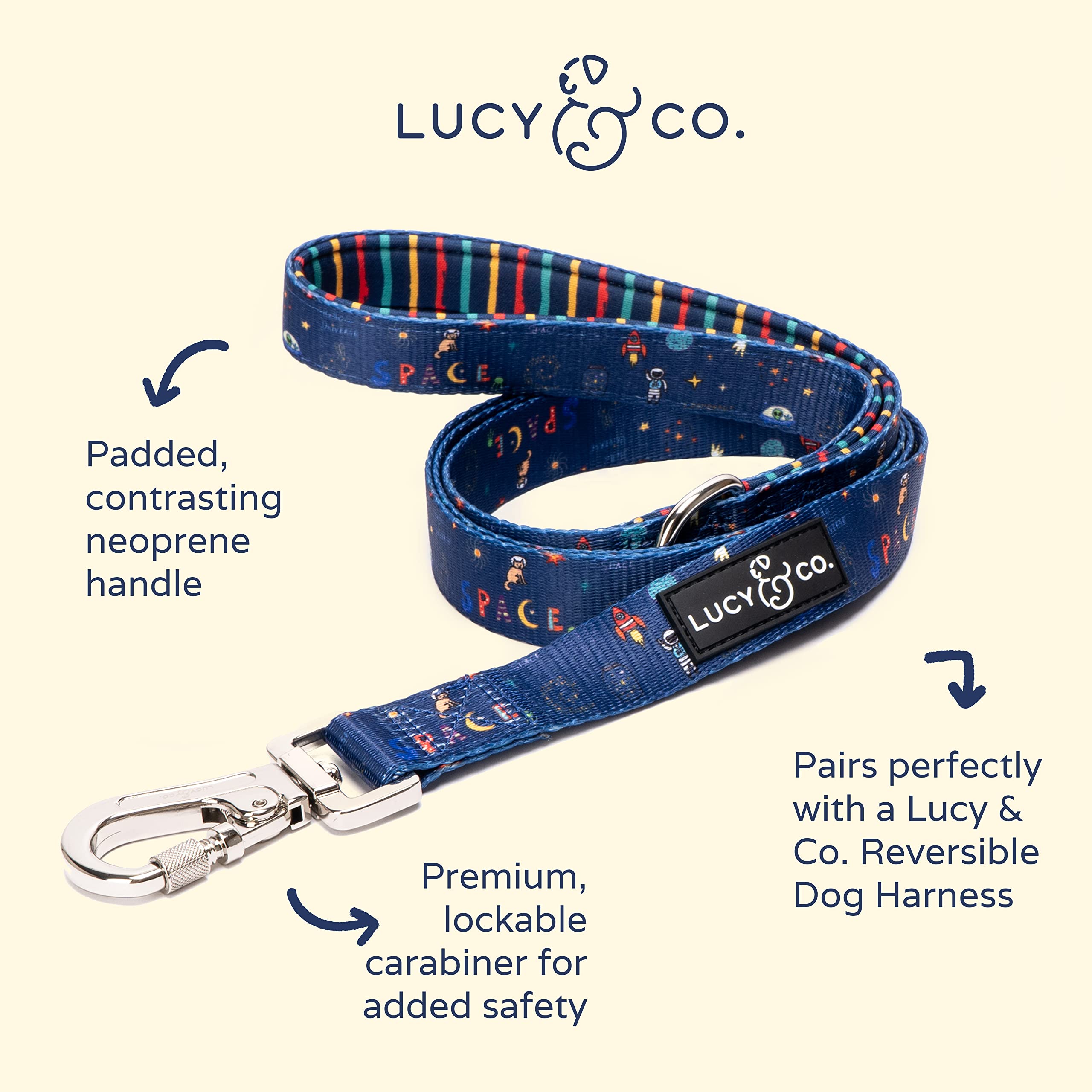 Lucy & Co Space Doodle leash on a dog during a safe, secure daily walk with carabiner.