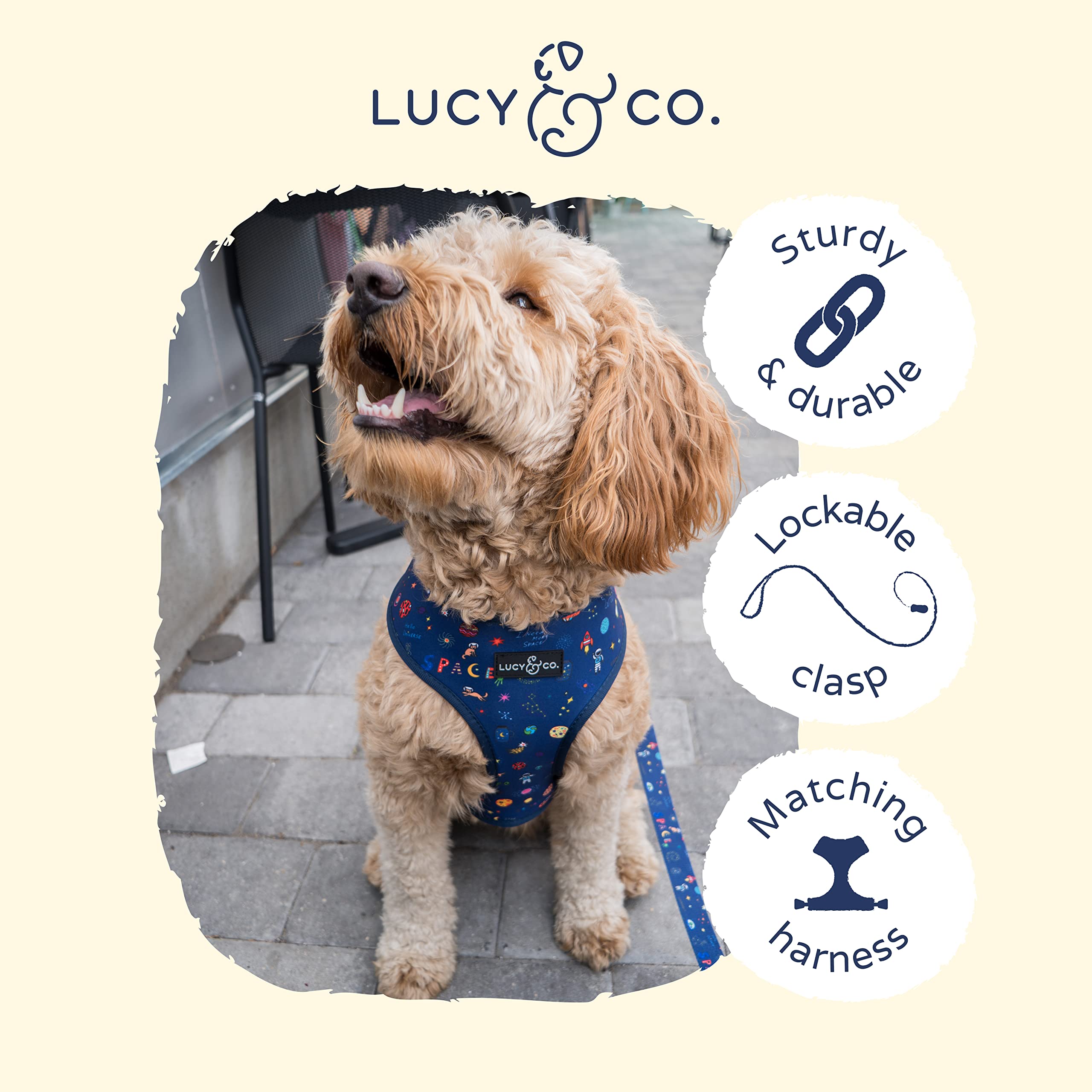 Lucy & Co Space Doodle leash with lockable carabiner in action for reliable outings.