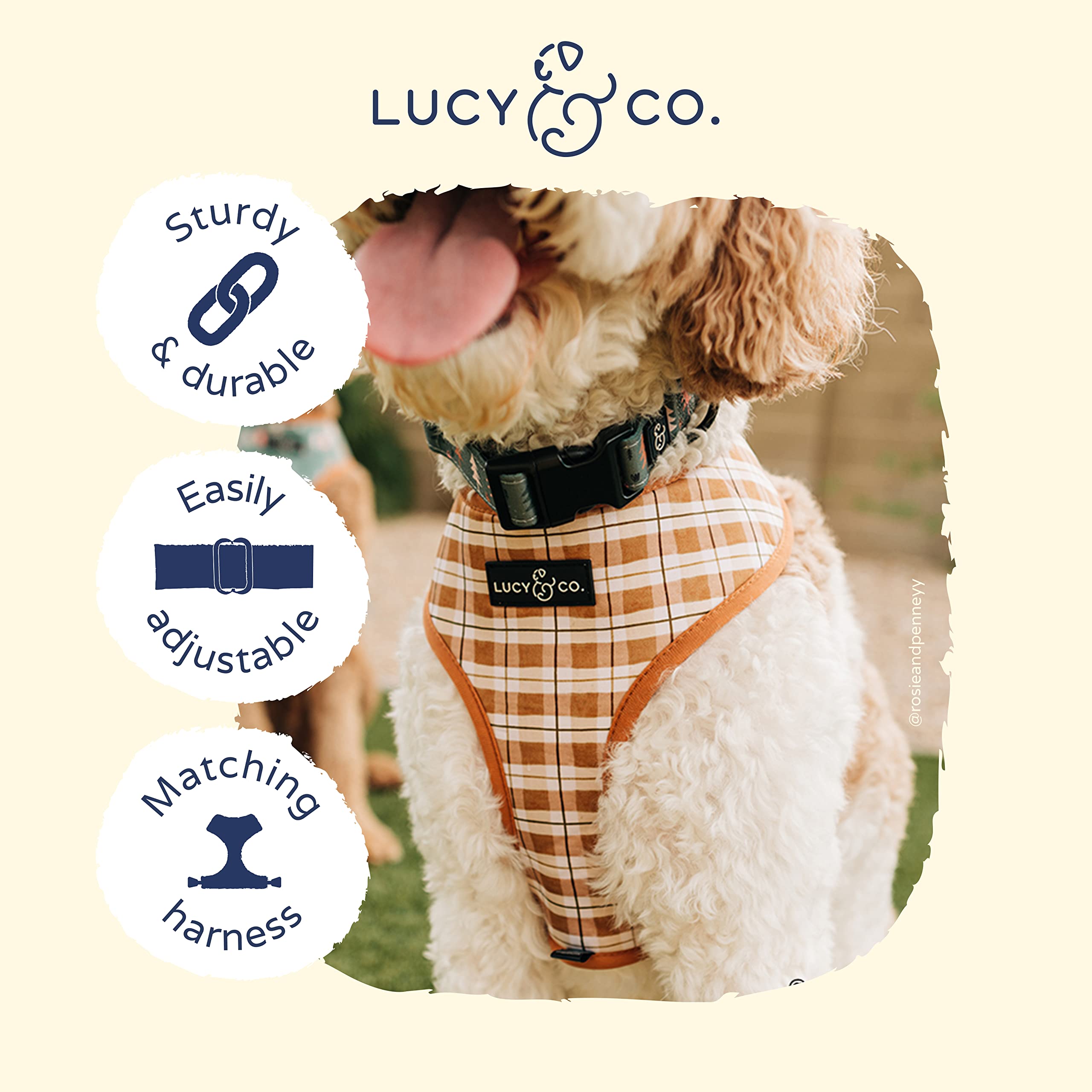 Lucy Co Take a Hike collar on dog during hike with adjustable fit for all sizes