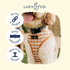 Lucy Co Take a Hike collar on dog during hike with adjustable fit for all sizes