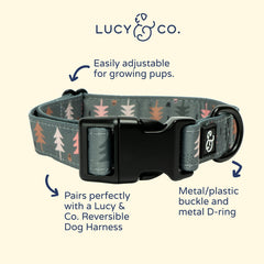 Lucy Co Take a Hike collar pattern closeup shows playful prints for unique style