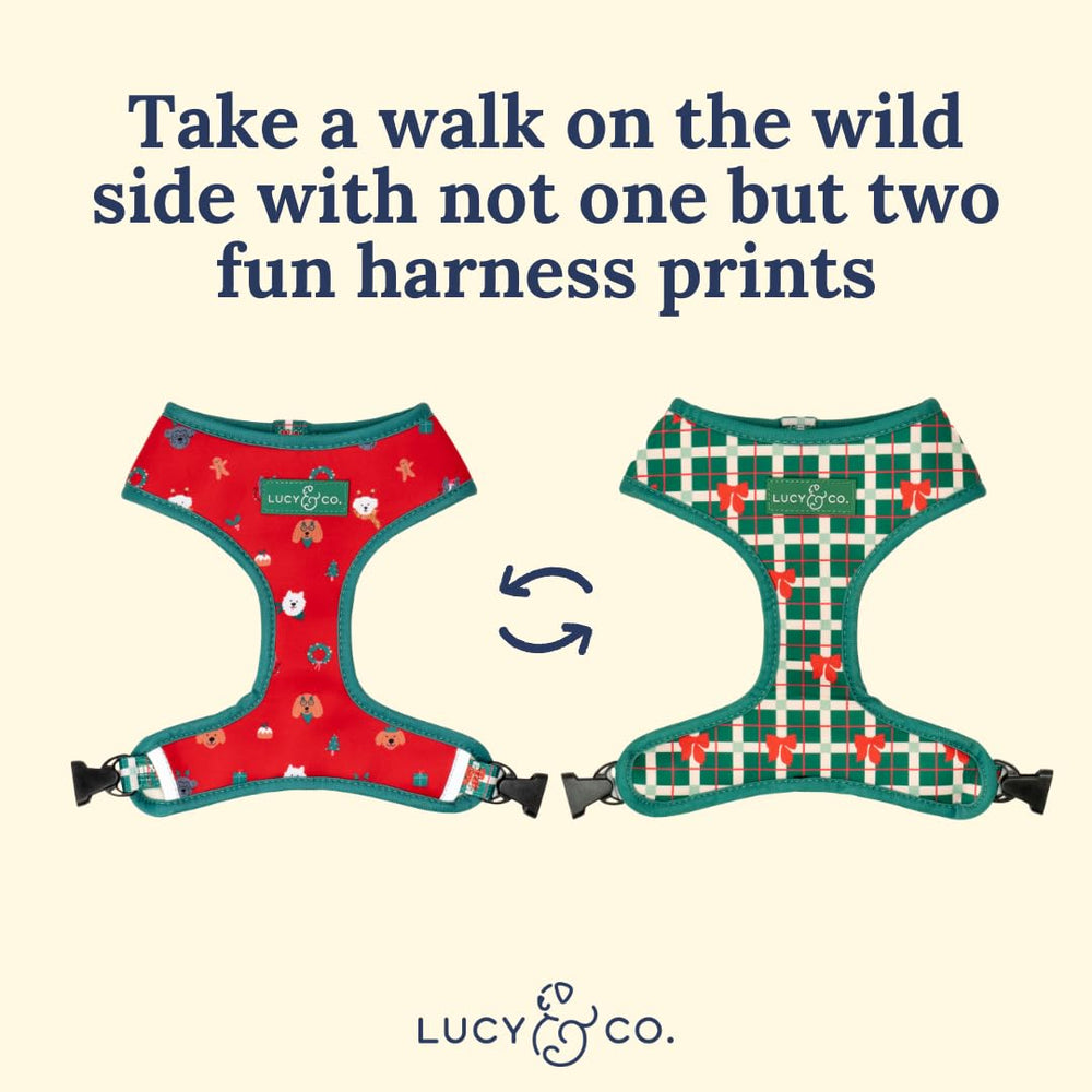 Lucy & Co. water-repellant neoprene harness keeps coats dry during outings