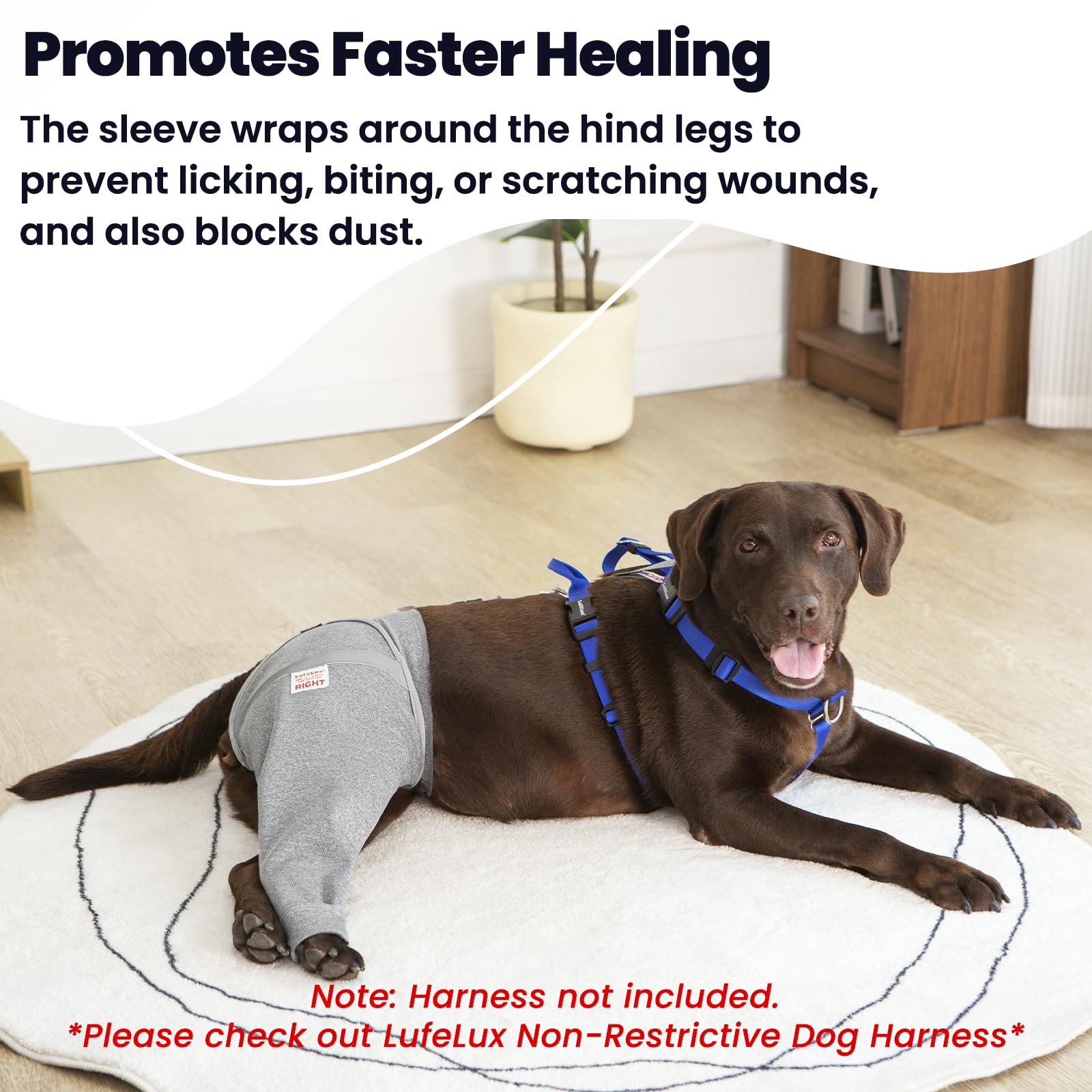 LufeLux connect-belt secures sleeve to harness for stable, dual-point fixation.