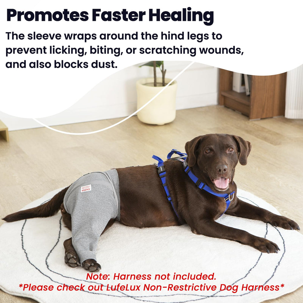 LufeLux connect-belt secures sleeve to harness for stable, dual-point fixation.