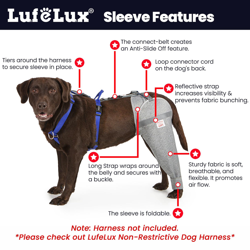 LufeLux leg sleeve on dog leg protects wounds while allowing comfortable movement.
