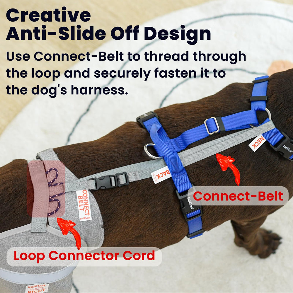 LufeLux dog leg sleeve shows machine-washable design for easy care.