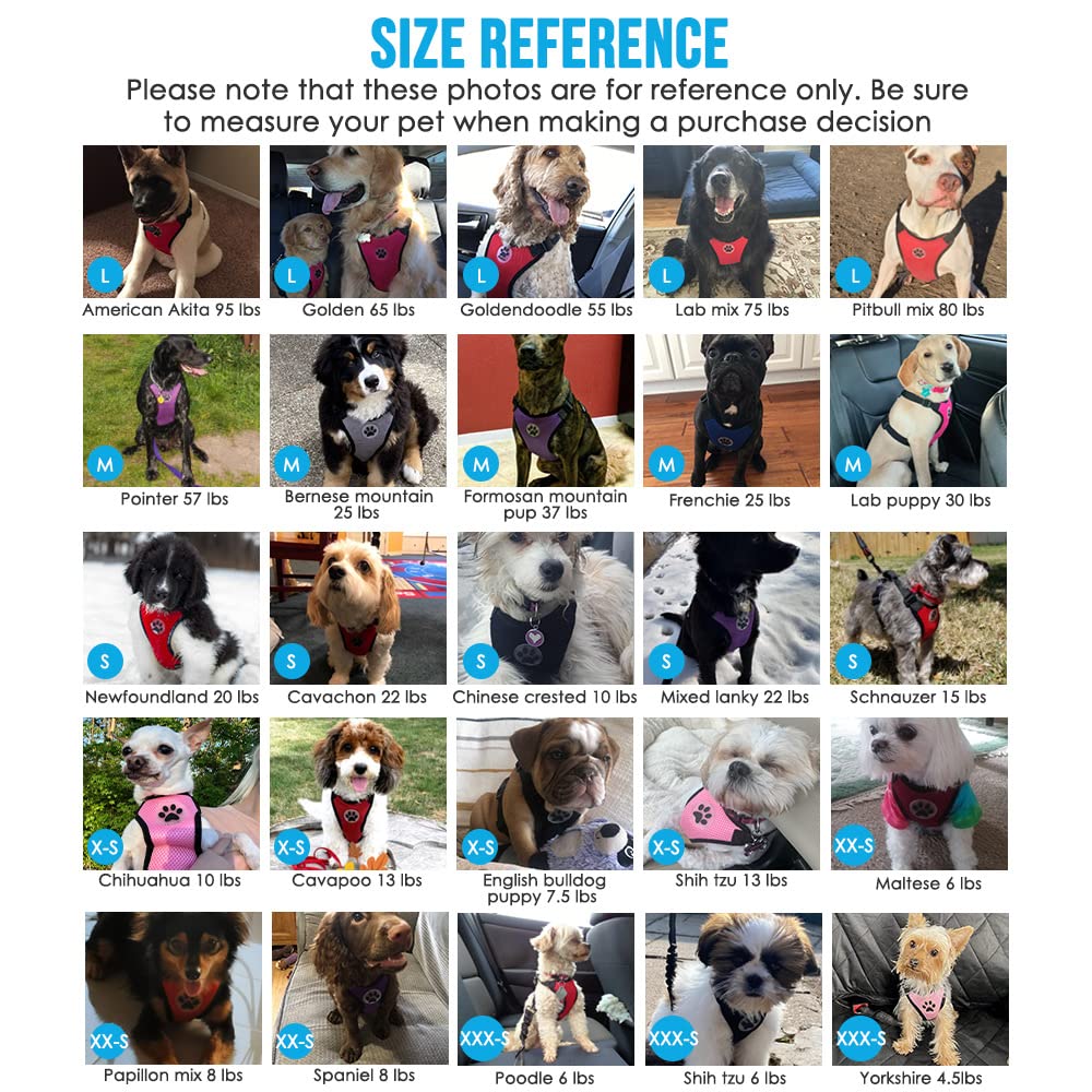 Lukovee correa para evitar saltos del perro durante la conducción