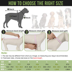 Lukovee dog raincoat reflective brim improves visibility for safer night-time strolls