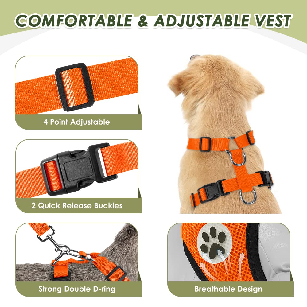 Lukovee adjustable chest straps demonstrating customizable fit for dogs