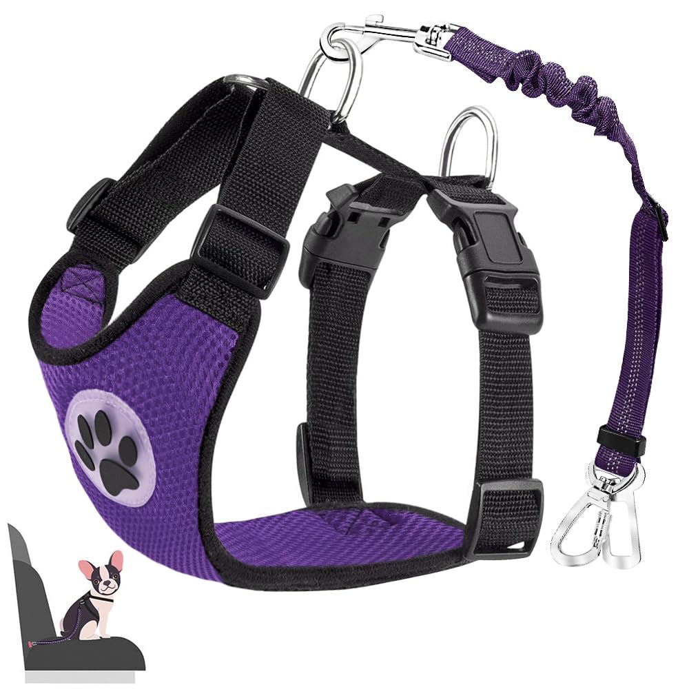 Lukovee dog seat belt buckle attachment shows secure car connections for safer rides.